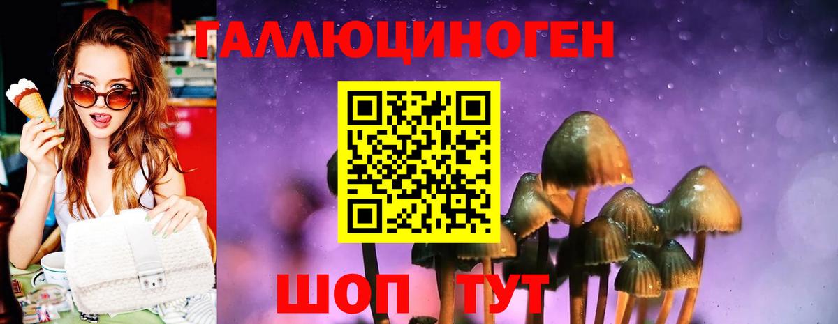 Дивногорск  Псилоцибиновые грибы GOLDEN TEACHER  Псилоцибиновые грибы Psilocybine cubensis  закладка  Вход с VPN 